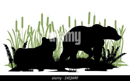 Bär männlich und weiblich. Wilde Tiere. Silhouette Figuren. Lichtung im Sumpf. Gras und Schilf. Isoliert auf weißem Hintergrund. Vektor Stock Vektor