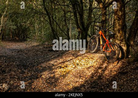 Montain Biking im Betteshanger Country Park Sandwich Kent auf einem KTM E-Bike Stockfoto