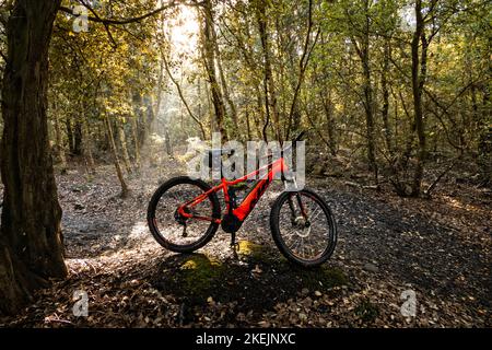 Montain Biking im Betteshanger Country Park Sandwich Kent auf einem KTM E-Bike Stockfoto