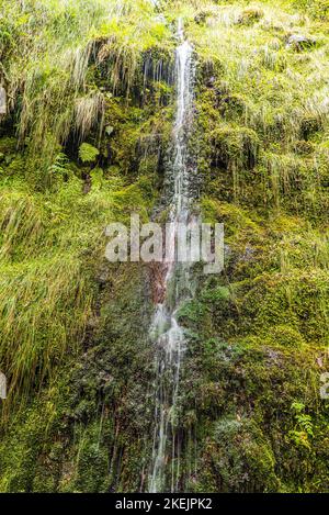 Eines von vielen Wasserffals über dem Wanderweg Levada do Furado in der Nähe von Ribeiro Frio auf der Insel Madeira Stockfoto