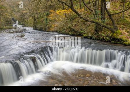 Die Horseshoe Falls auf dem Fluss Neath auf einem der Wasserfälle von „The Tal of Neath“. Stockfoto