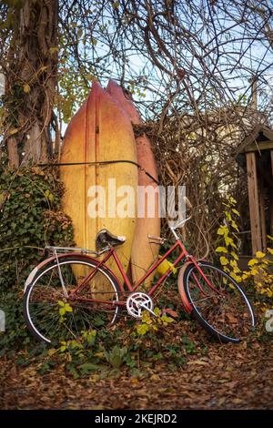 Ein altes rotes Fahrrad und zwei gelbe und orangefarbene Paddeltafeln ruhen an einem warmen Herbsttag auf einem Baum und einem Holzzaun mit heruntergefallenen Blättern auf dem Boden Stockfoto