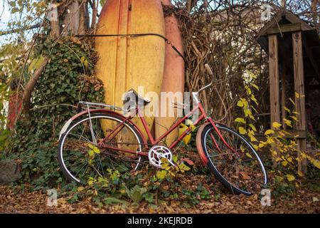 Ein altes rotes Fahrrad und zwei gelbe und orangefarbene Paddeltafeln ruhen an einem warmen Herbsttag auf einem Baum und einem Holzzaun mit heruntergefallenen Blättern auf dem Boden Stockfoto