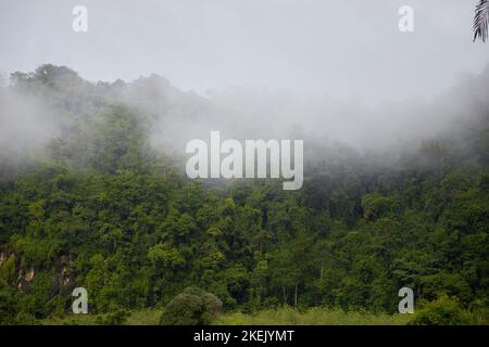Neblig am frühen Morgen über den Berg Stockfoto