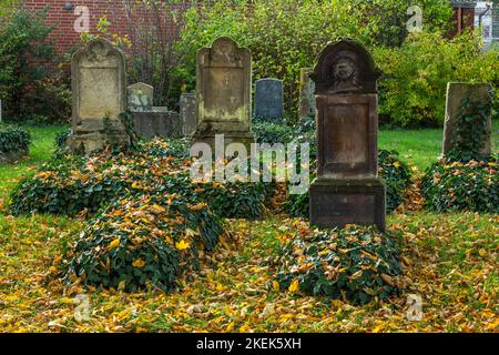 Deutschland, Gescher, Berkel, Naturpark hohe Mark Westmünsterland, Münsterland, Westfalen, Nordrhein-Westfalen, NRW, Jüdischer Friedhof, Gräber, Grabsteine, Spätsommer, herbstlich Stockfoto