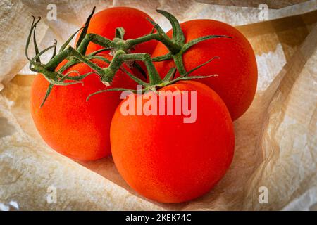 Tomaten schließen sich in einem Papierbeutel an.Nahaufnahme von 4 Tomaten und ihren grün behaarten Stielen Stockfoto