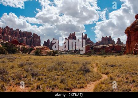 Ein schmaler Pfad schlängelt sich durch ein Feld, bevor er die Devil's Kitchen im Canyonlands-Nationalpark betritt Stockfoto