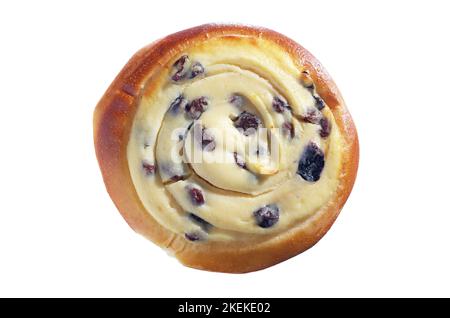 Käsekuchen mit Hüttenkäse und Rosinen isoliert auf weißem Hintergrund, Draufsicht Stockfoto