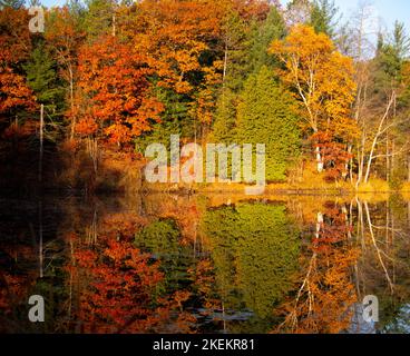 Brillante Spiegelung der glühenden roten, gelben, orangen und grünen Herbstfarben im oberen Michigan, die sich im stillen Teichwasser spiegeln. Stockfoto
