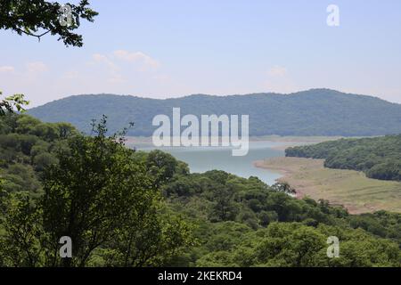 Bewaldete Straße zwischen Salta und Jujuy Stockfoto