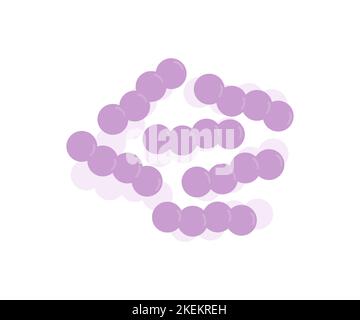 Logo für Bakterien Streptococcus, Streptococcus pneumoniae oder Pneumococcus bacterias. Krankheitserregende Bakterien, Viren und Mikroben. Streptokokken Stock Vektor