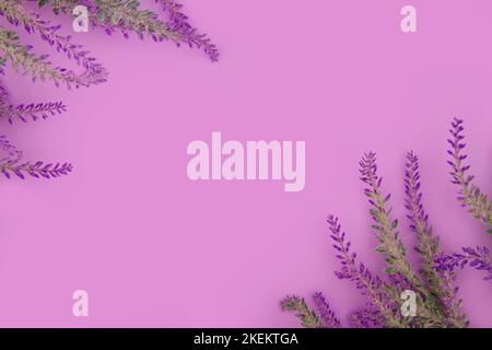 Draufsicht auf Heather Blumen liegen auf lila Hintergrund Stockfoto