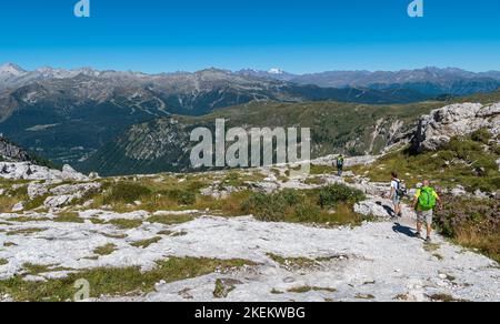 Berglandschaft im Sommer in den Westlichen Dolomiten (Dolomiti di Brenta) - Vallesinella - Madonna di Campiglio, Trentino-Südtirol, Norditalien Stockfoto