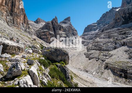 Berglandschaft im Sommer in den Westlichen Dolomiten (Dolomiti di Brenta) - Vallesinella - Madonna di Campiglio, Trentino-Südtirol, Norditalien. Stockfoto