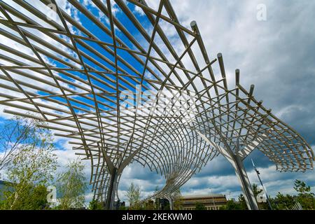 Die Tay Whale Skulptur von Lee Simmons, Waterfront Place, Dundee, Schottland, Großbritannien Stockfoto