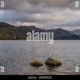 Centenary Stones Carving in Calfclose Bay, Derwentwater, English Lake District. Die Schnitzerei feiert das hundertjährige Bestehen des National Trust. Stockfoto