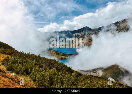 Blaue Bergseen mit Reflexion im Tatra-Nationalpark fünf Seetäler, umgeben von starkem Nebel, Berggipfeln und Zwergkiefern in Polen Stockfoto