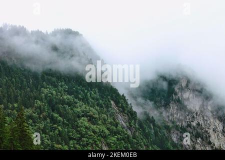 Heftiger Morgennebel über immergrünen Wäldern, der auf einer hohen felsigen Klippe im Tal des Tatra-Nationalparks auf dem Wanderweg bei Polen, Zakopane, wächst Stockfoto