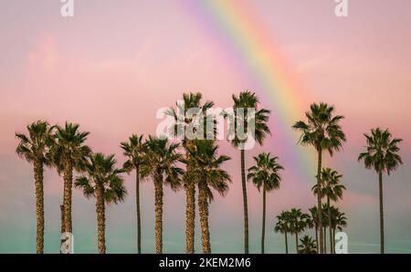 Tropische Palmen am Strand, Regenbogen am Himmel. Stockfoto