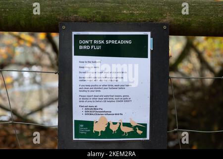 Wexham, Buckinghamshire, Großbritannien. 13.. November 2022. Eine Warnung an Besucher, die helfen, die Ausbreitung der Vogelgrippe zu verhindern. Heute war es ein schöner sonniger Tag im Black Park in Buckinghamshire, wo die Menschen ihre Spaziergänge um den See und durch die bunten Herbstwälder genossen. Der 250 Hektar große öffentliche Park umfasst ein Gebiet von besonderem wissenschaftlichem Interesse. Quelle: Maureen McLean/Alamy Live News Stockfoto