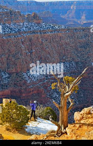 Ein Tourist am Südrand am Grandview Point, Grand Canyon National Park, Arizona, USA Stockfoto