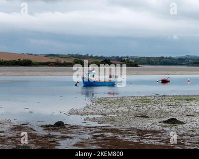 Clonakilty Bay bei Ebbe. Ein kleines blaues Fischerboot ist verankert. Offener Meeresboden, Schlamm und Algen. Malerische Küstenlandschaft. Stockfoto