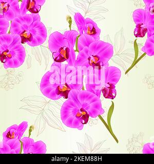 Nahtlose Textur Zweig Orchidee Phalaenopsis lila Blüten und Blätter tropische Pflanzen Stamm und Knospen natürlichen Hintergrund vintage Vektor botanischen illu Stock Vektor