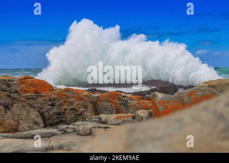 Aufnahmen einer Brandung, die mit einem hohen Springbrunnen auf eine felsige Küste trifft, aufgenommen aus einer Bodenansicht in Südafrika Stockfoto