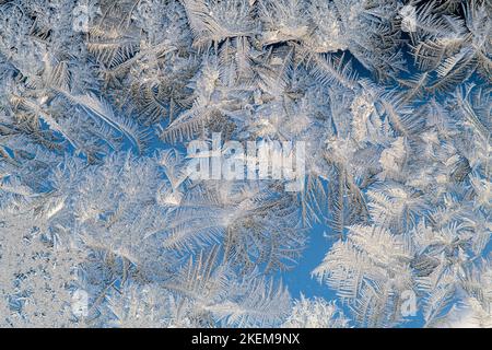 Fensterfrost an einem kalten Wintermorgen, Greater Sudbury, Ontario, Kanada Stockfoto