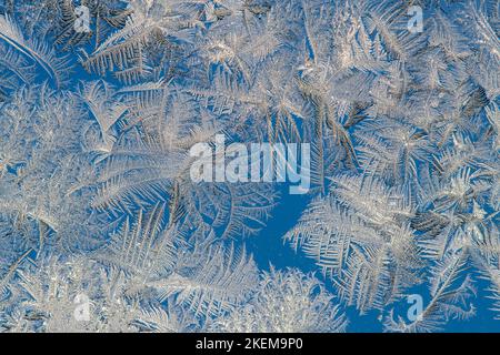 Fensterfrost an einem kalten Wintermorgen, Greater Sudbury, Ontario, Kanada Stockfoto