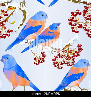 Nahtlose Textur Bluebirds Vögel drosseln kleine songbirdon auf verschneiten Baum und Beere Winter Hintergrund vintage Vektor Illustration editierbare Hand zeichnen Stock Vektor