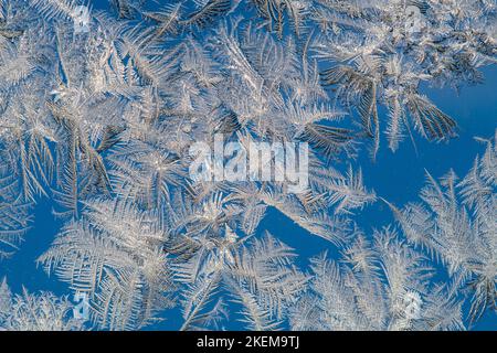 Fensterfrost an einem kalten Wintermorgen, Greater Sudbury, Ontario, Kanada Stockfoto