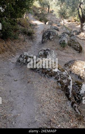 Anaxos-Szenen. Hügelpfad über dem Dorf Anaxos, Insel Lesbos. Oktober 2022. Herbst. Stockfoto