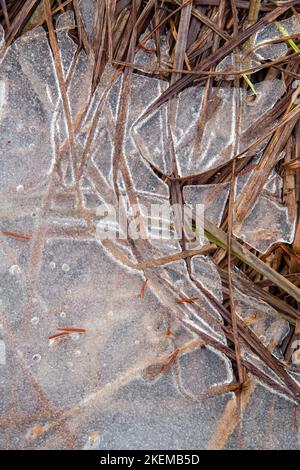 Schmelzendes Eis am Rand der Frühlingspools, Greater Sudbury, Ontario, Kanada Stockfoto