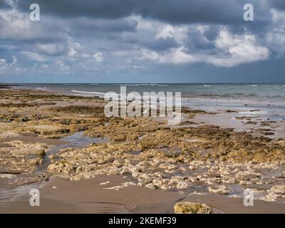 Robin Friend - ein Gebiet von Kreide bei Ebbe in der Nähe von Sheringham an der North Norfolk Coast ausgesetzt. Stockfoto