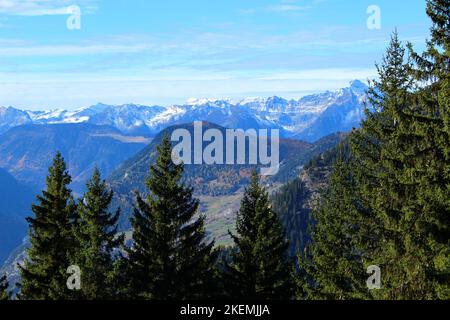 Verbier, Wallis schroffe alpine Berglandschaft. Nadelbäume füllten Hügel + Täler im Vordergrund mit schneebedeckten alpen im Hintergrund an einem sonnigen Tag. Stockfoto