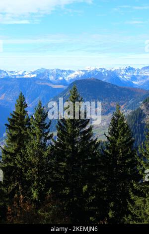 Schroffe alpine Berglandschaft im Herbst. Nadelbäume im Vordergrund mit Hügeln und schneebedeckten alpen im Hintergrund an einem sonnigen Tag (Verbier, Wallis) Stockfoto