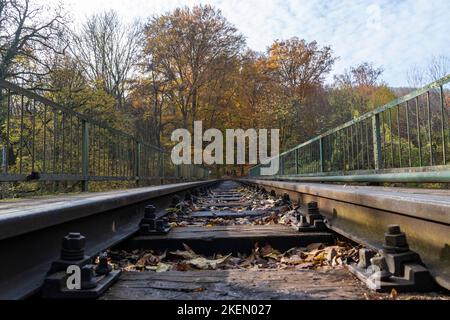 Eisenbahn im Herbstwald Stockfoto