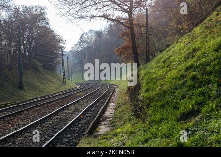 Eisenbahn im Herbst Wald Stockfoto