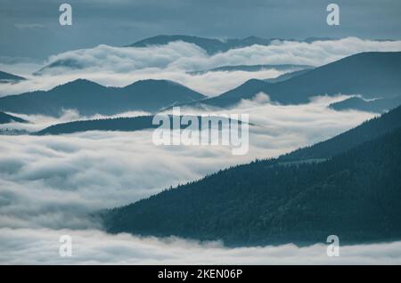 Neblige Bergtäler bedeckt mit Wolken. Tolle Aussicht auf die Berge Stockfoto