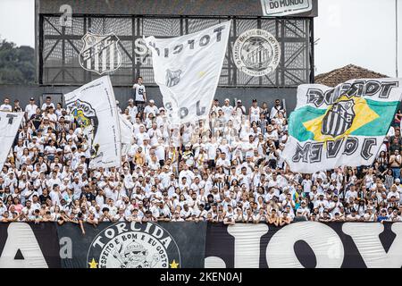 Santos, Brasilien. 13.. November 2022. SP - Santos - 11/13/2022 - BRASILEIRO A 2022, SANTOS X FORTALEZA - Santos Fans während eines Spiels gegen Fortaleza im Vila Belmiro Stadion für die brasilianische Meisterschaft A 2022. Foto: Raul Baretta/AGIF/Sipa USA Quelle: SIPA USA/Alamy Live News Stockfoto