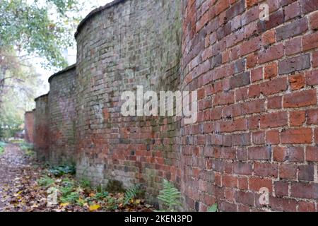 Eine ungewöhnliche, historische, krinklige Gartenwand, fotografiert in Wheathampstead, Hertfordshire, Großbritannien. Stockfoto