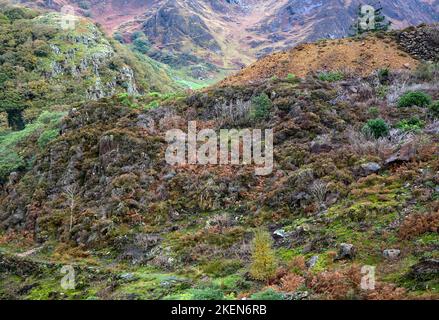 Atemberaubende Aussicht auf die Herbstfarbe von der Aussichtsplattform über der Sygun Kupfermine im nantgwynant Valley Beddgelert Snowdonia National Park Stockfoto