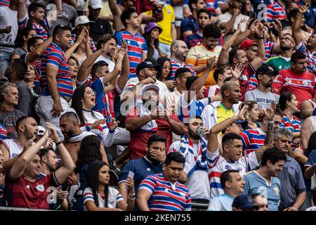 Santos, Brasilien. 13.. November 2022. SP - Santos - 11/13/2022 - BRASILEIRO A 2022, SANTOS X FORTALEZA - Fortaleza Fans während eines Spiels gegen Santos im Vila Belmiro Stadion für die brasilianische Meisterschaft A 2022. Foto: Raul Baretta/AGIF/Sipa USA Quelle: SIPA USA/Alamy Live News Stockfoto