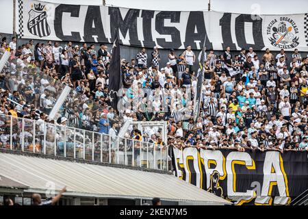 Santos, Brasilien. 13.. November 2022. SP - Santos - 11/13/2022 - BRASILEIRO A 2022, SANTOS X FORTALEZA - Santos Fans während eines Spiels gegen Fortaleza im Vila Belmiro Stadion für die brasilianische Meisterschaft A 2022. Foto: Raul Baretta/AGIF/Sipa USA Quelle: SIPA USA/Alamy Live News Stockfoto