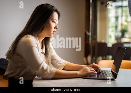 Junge Datenwissenschaftlerin, die in einem Konferenzraum an ihrem Laptop arbeitet Stockfoto