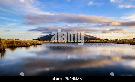 Mt. Taranaki Reflexion im Pouakai Pool, Neuseeland Stockfoto