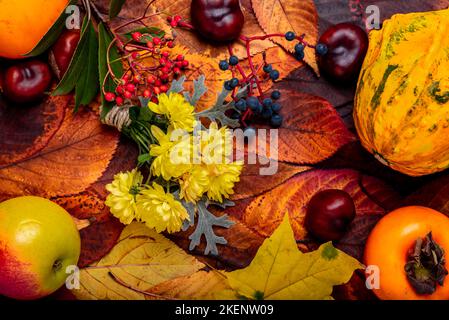 Hintergrund. Herbst Dekoration Hintergrund mit Chrysanthenum, Kastanien, roten und blauen Früchten, auf Blättern. Stockfoto