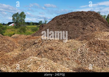 Mulch aus Holzschnitzeln, Blättern und Zweigen. Stockfoto