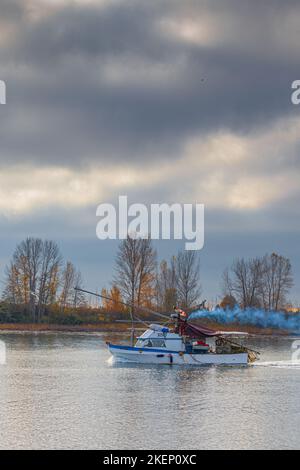 Kleines kommerzielles Fischerboot, das zum Hafen von Steveston in British Columbia, Kanada, zurückkehrt Stockfoto